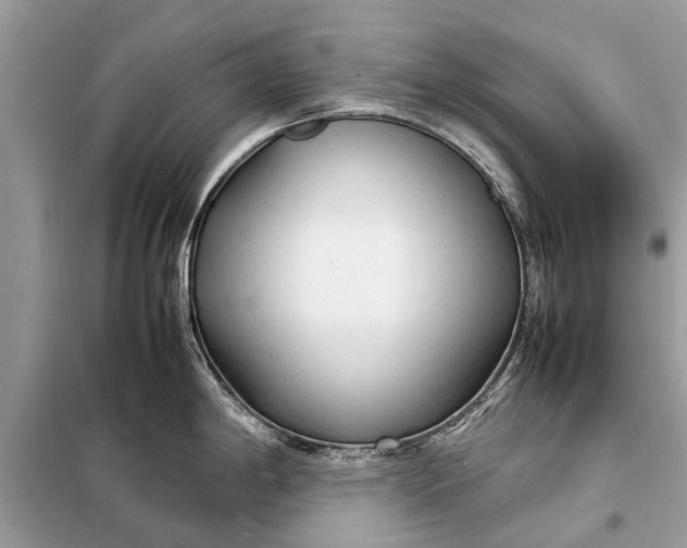 X0000098191198200805081040