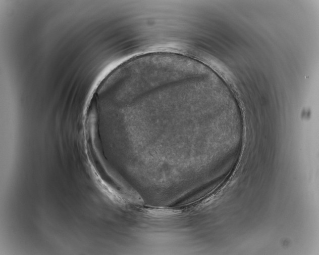 X0000098191200200805081040
