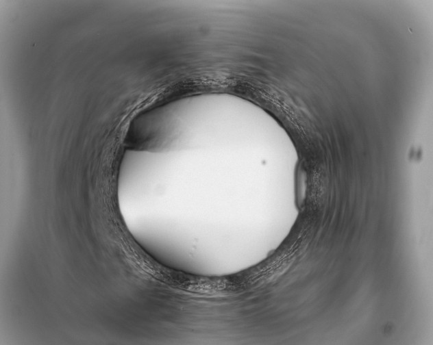 X0000098191201200805081040