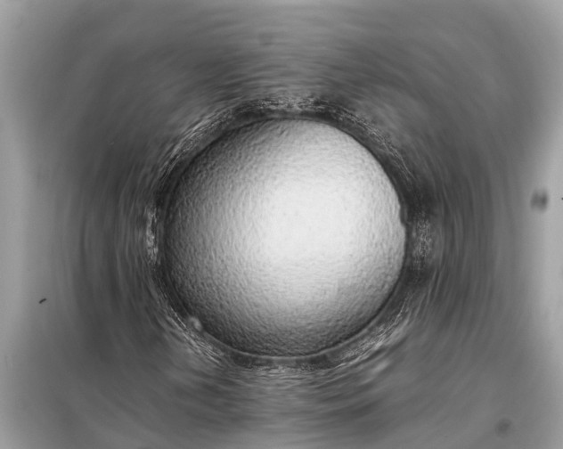 X0000098191202200805081040