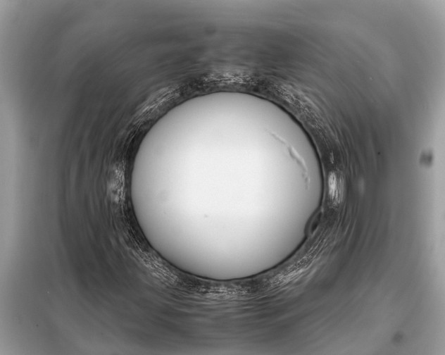 X0000098191203200805081040