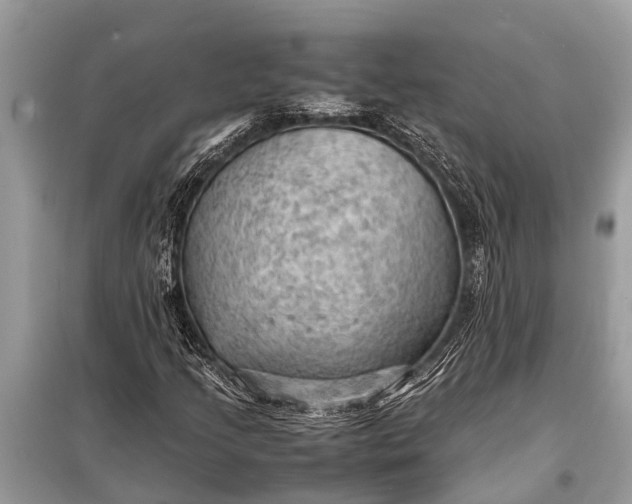 X0000098191205200805081040
