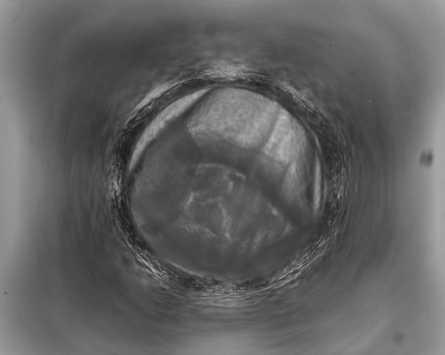 X0000098191206200805081040
