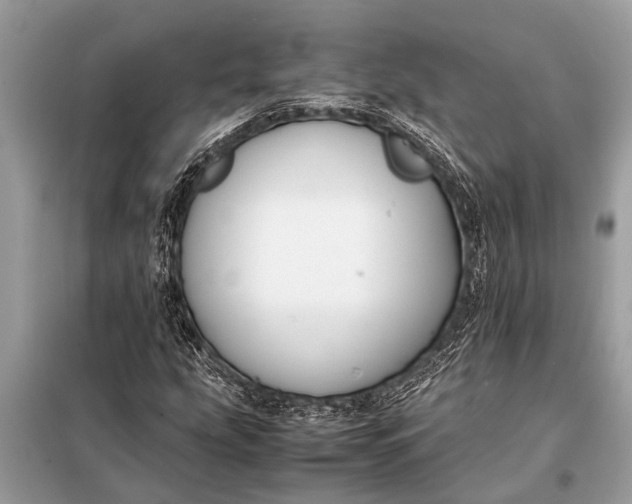 X0000098191207200805081040