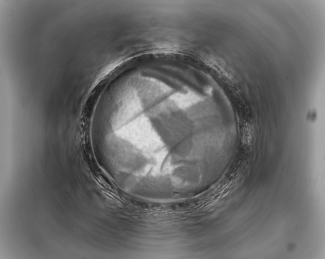 X0000098191208200805081040