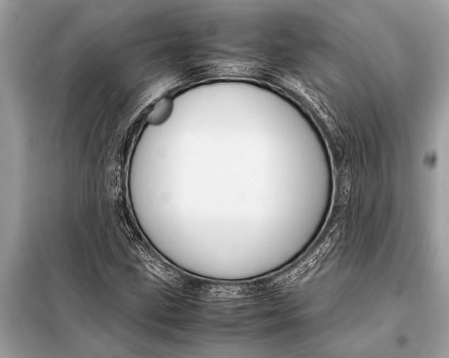 X0000098191211200805081040