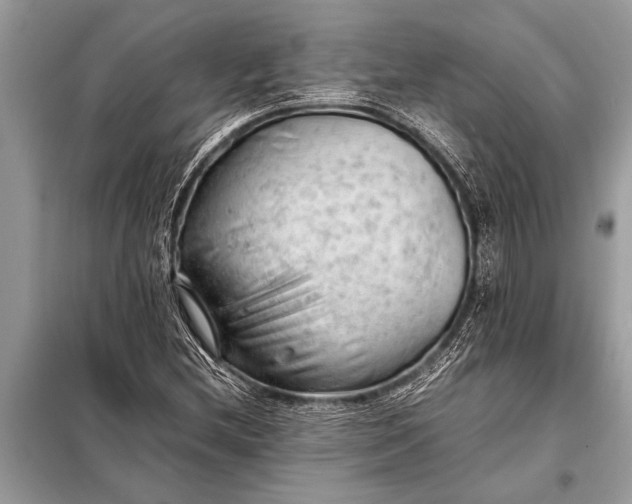 X0000098191212200805081040