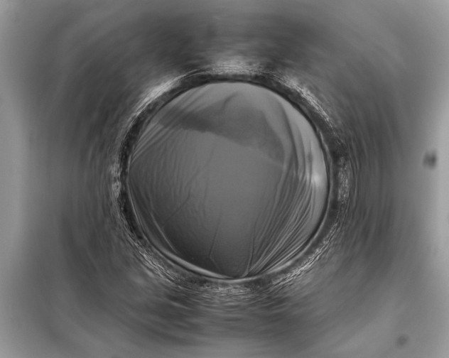 X0000098191213200805081040