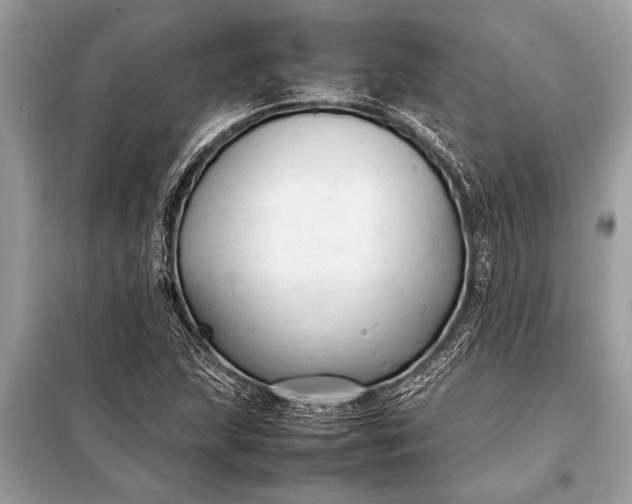 X0000098191215200805081040