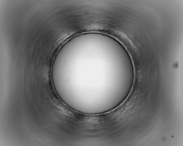 X0000098191217200805081040