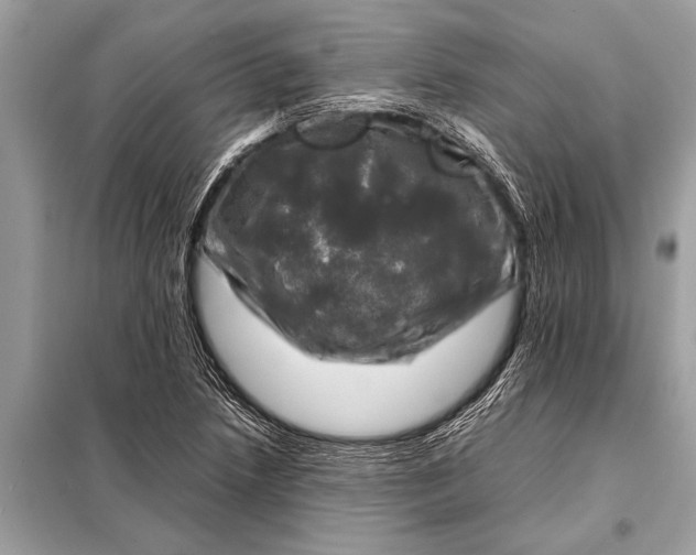 X0000098191218200805081040