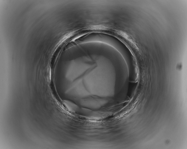 X0000098191221200805081040