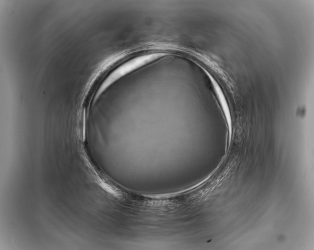 X0000098191223200805081040