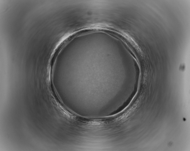 X0000098191224200805081040