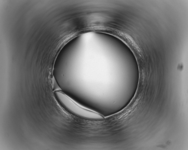X0000098191225200805081040