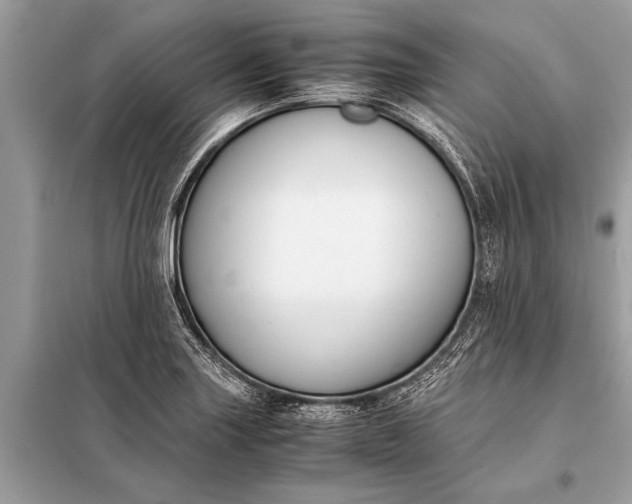 X0000098191227200805081040