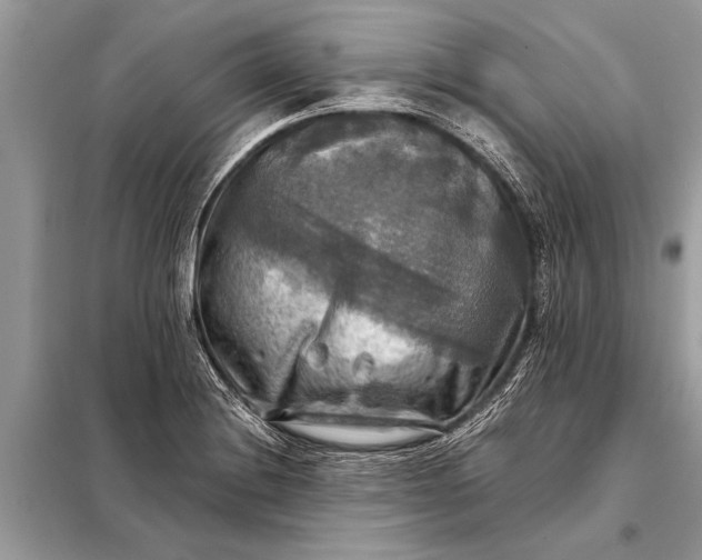 X0000098191228200805081040