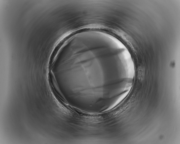 X0000098191229200805081040