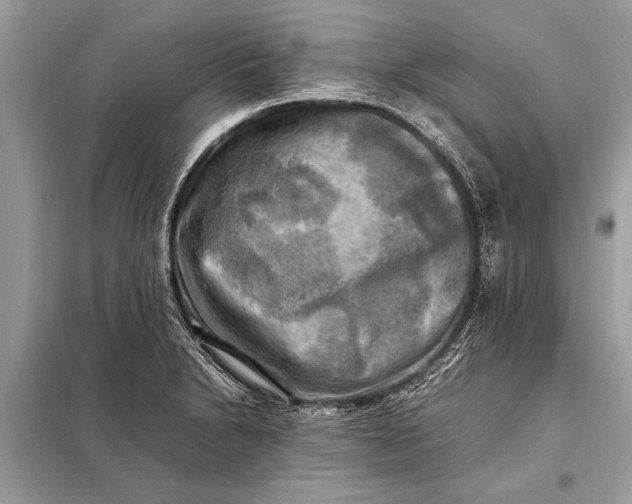 X0000098191230200805081040
