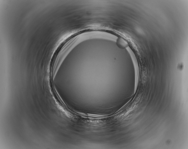 X0000098191231200805081040