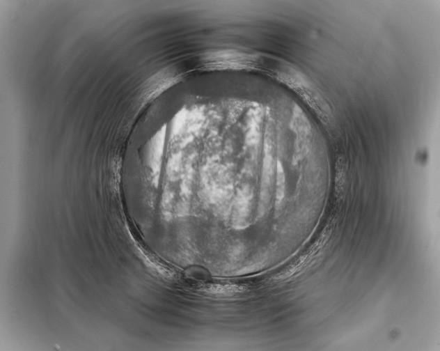 X0000098191233200805081040