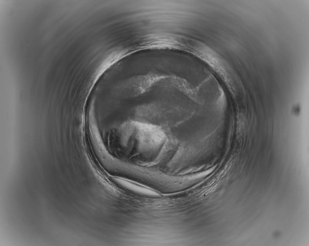 X0000098191234200805081040
