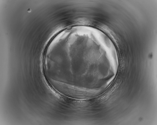 X0000098191235200805081040