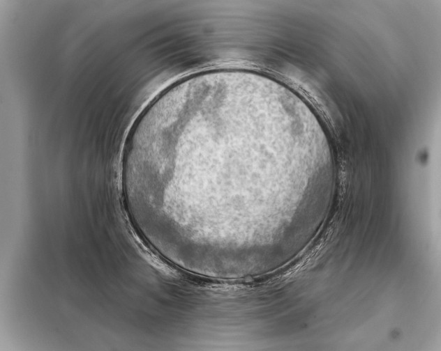 X0000098191236200805081040