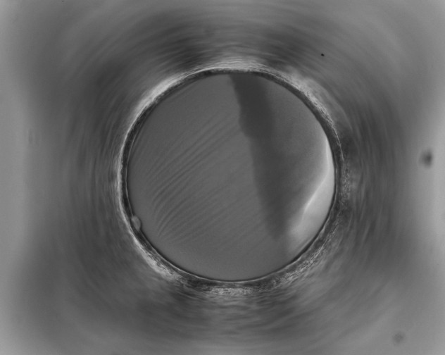 X0000098191237200805081040