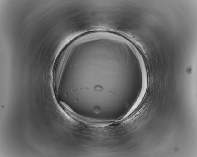 X0000098191239200805081040