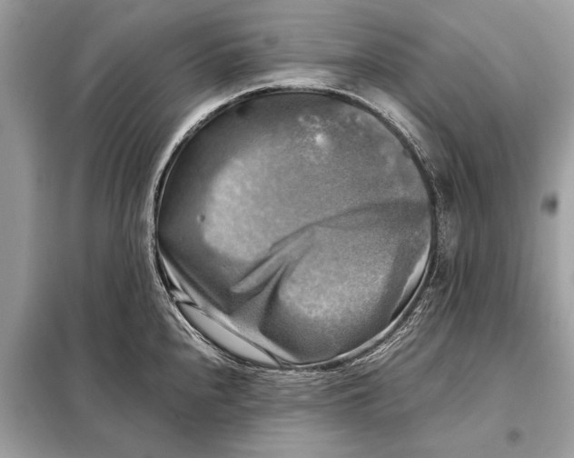 X0000098191240200805081040