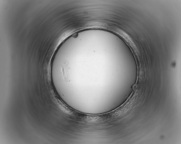 X0000098191242200805081040