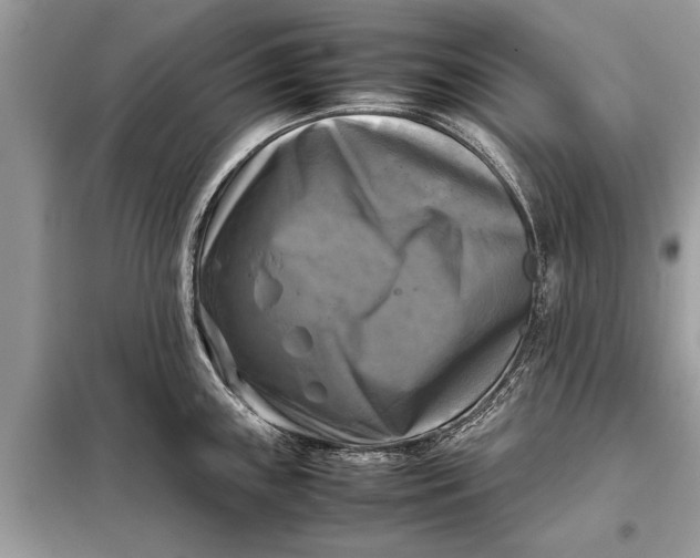 X0000098191243200805081040
