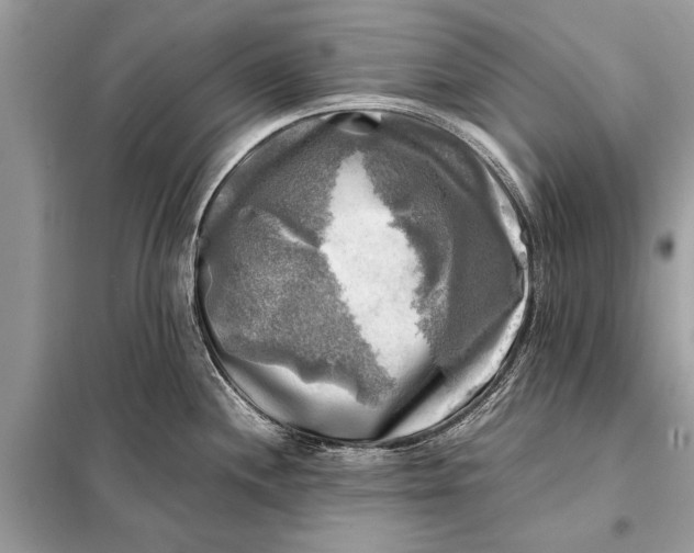 X0000098191244200805081040