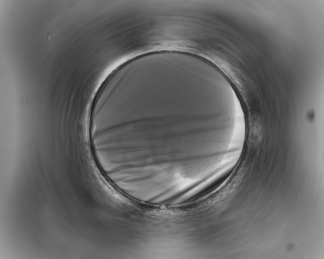 X0000098191246200805081040