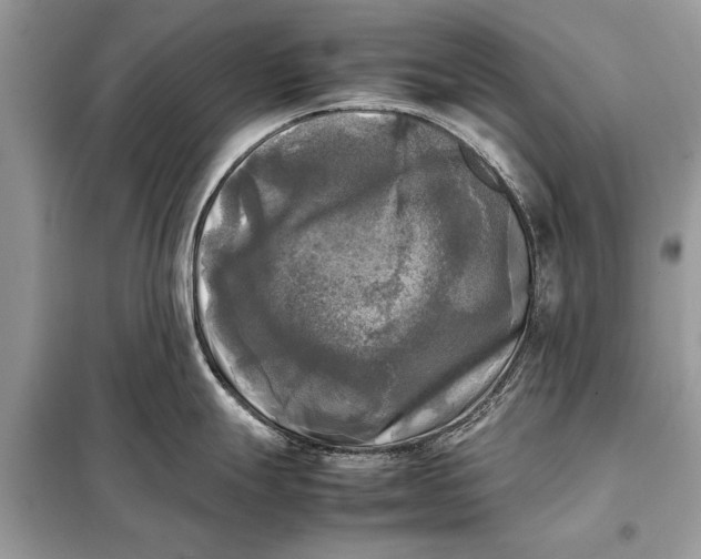 X0000098191247200805081040