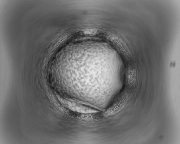 X0000098191249200805081040