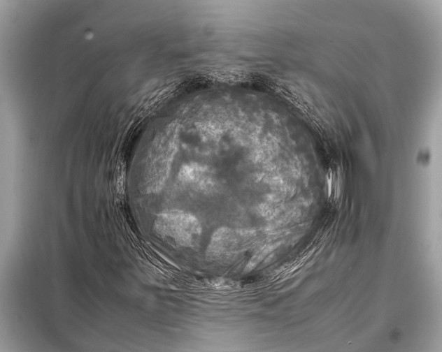 X0000098191251200805081040
