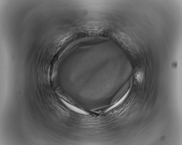 X0000098191252200805081040