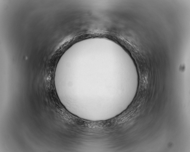 X0000098191254200805081039