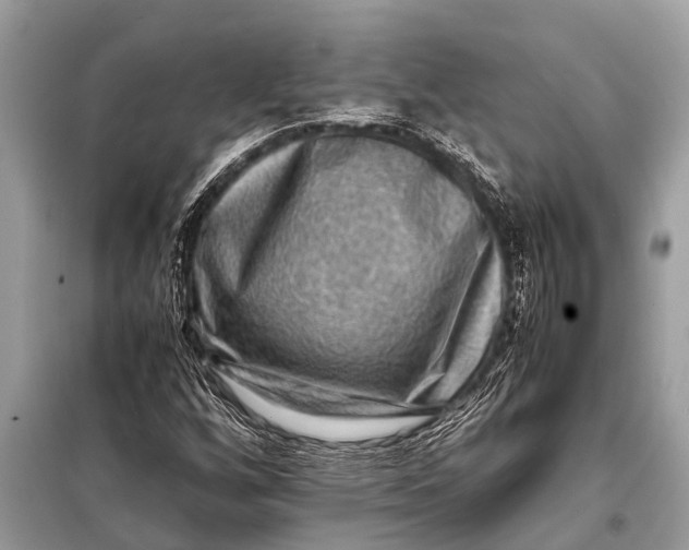 X0000098191256200805081039