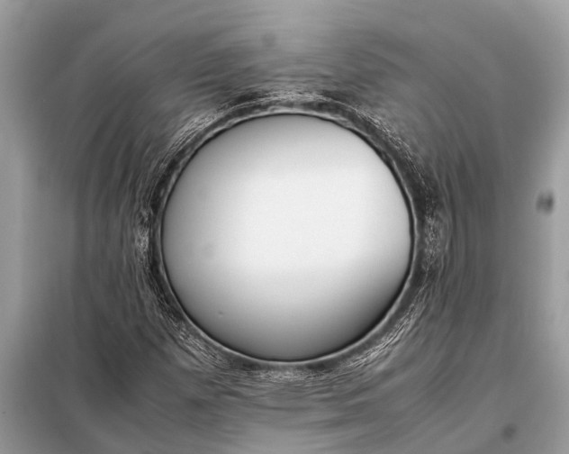 X0000098191257200805081039