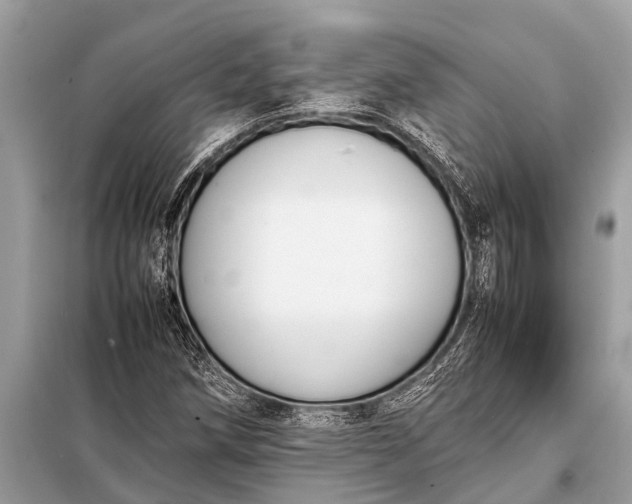 X0000098191258200805081039