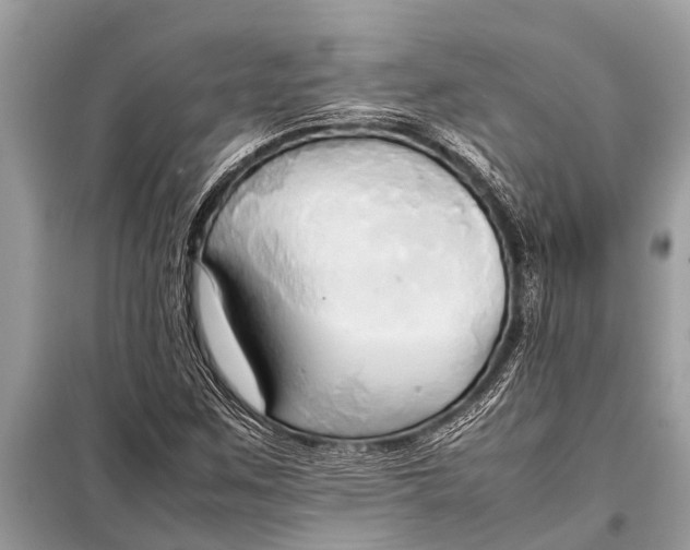 X0000098191259200805081039