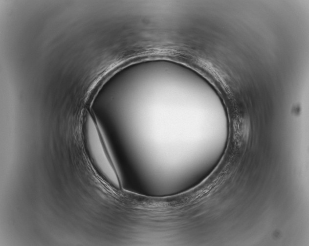 X0000098191260200805081039