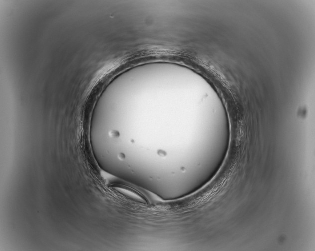 X0000098191261200805081039