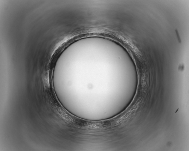 X0000098191262200805081039