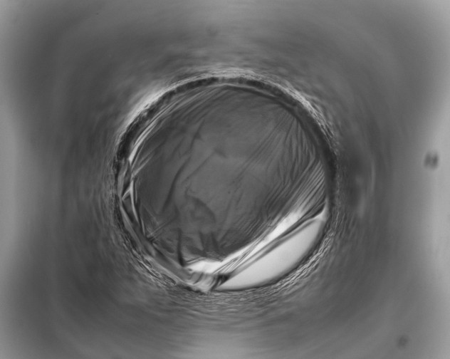 X0000098191263200805081039