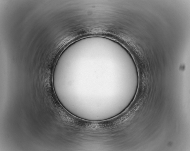X0000098191265200805081039