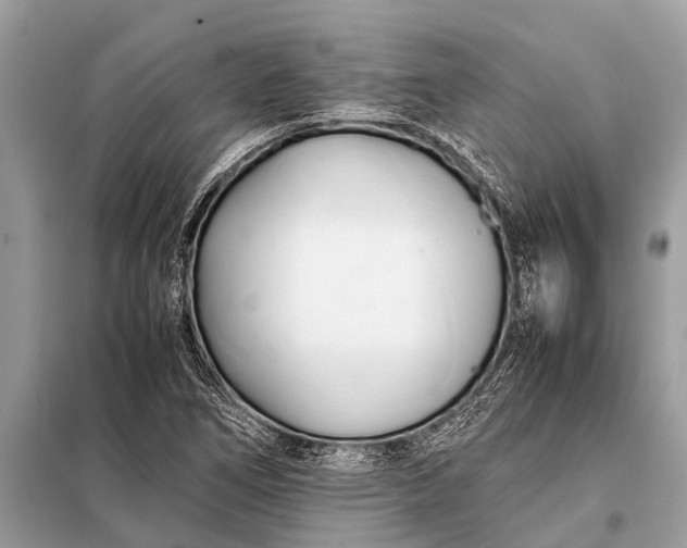 X0000098191266200805081039